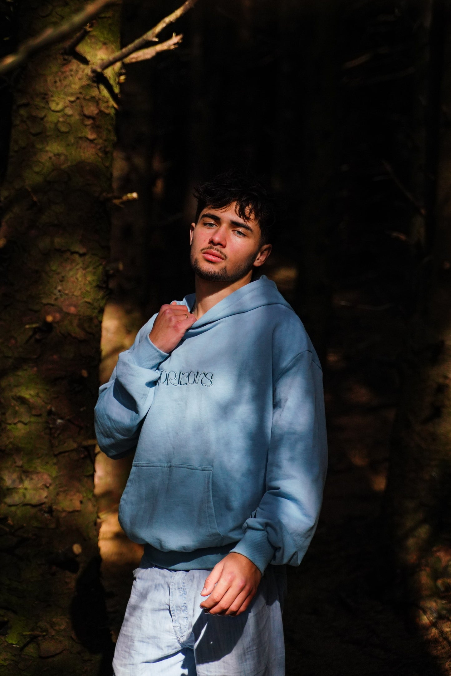 Hoodie Horizons bleu