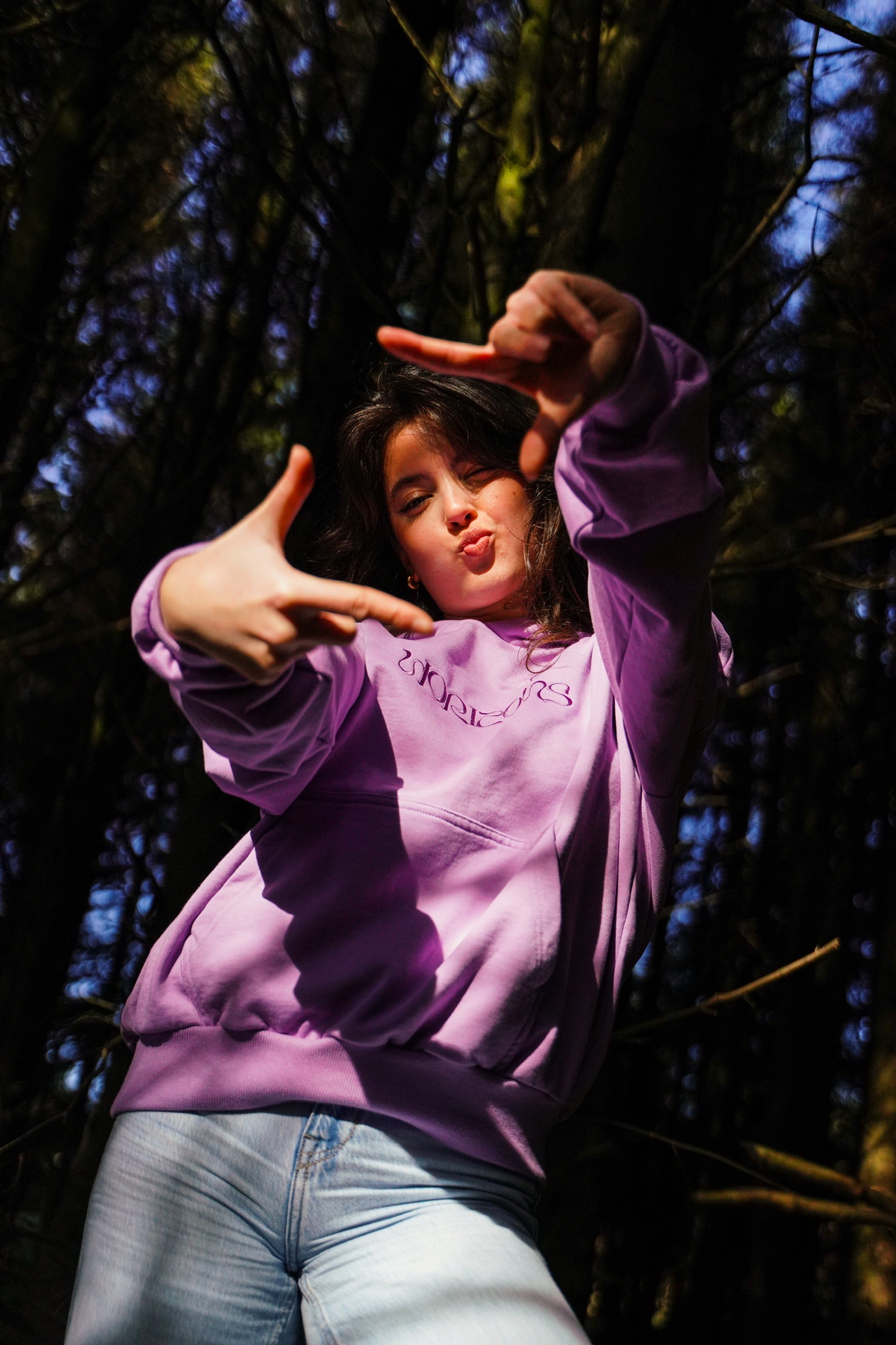 Hoodie Horizons violet